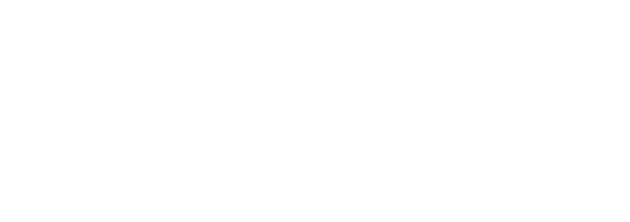 logotipo agencia site lider